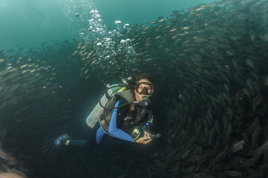 Hostal Castro Galapagos Puerto Ayora  Zewnętrze zdjęcie